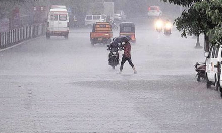 Rainfall : Monsoon is at peak in South Gujarat