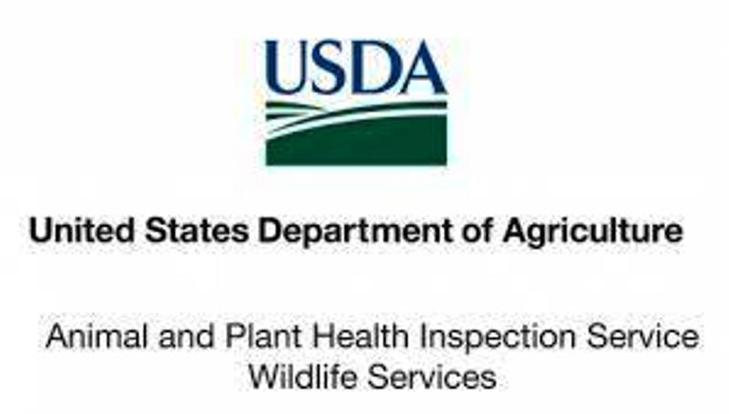 USDA-APHIS approves Irradiation Facility set up