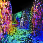 teamLab Phenomena where Art Meets Innovation!