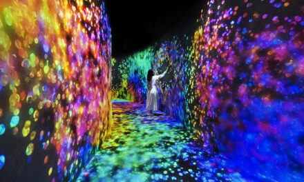 teamLab Phenomena where Art Meets Innovation!