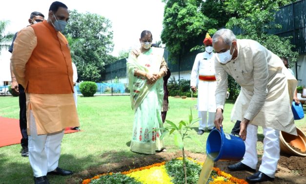 2021 has been declared as year of fruits & veges.