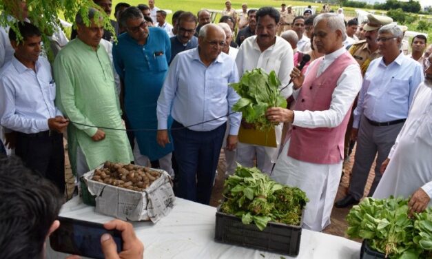 Farmers will prosper by adopting organic farming